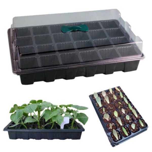hole plant grow box nursery starter garden yard tray gardening with cover pot plastic in pots & planters
hole plant grow box nursery starter garden yard tray gardening with cover pot plastic in pots & planters