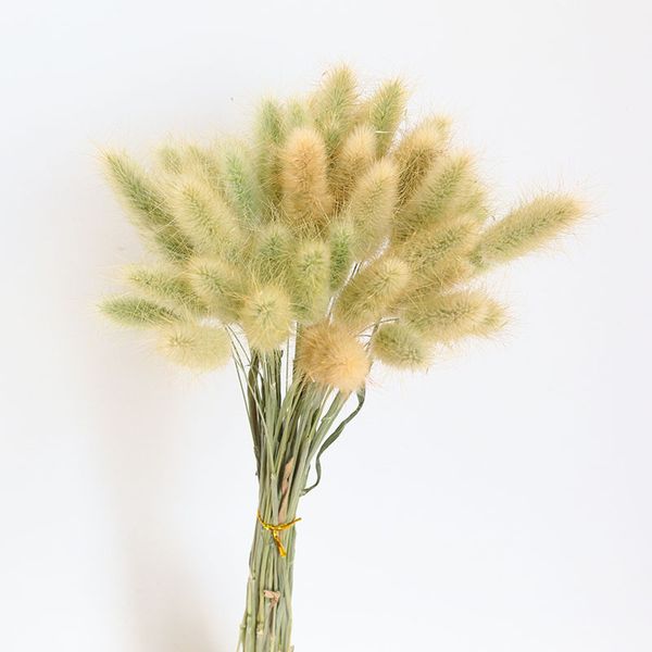 natural dried flowers pampas grain bouquet wheat ears diy wedding party store garden decoration christmas craft gift dekoration
natural dried flowers pampas grain bouquet wheat ears diy wedding party store garden decoration christmas craft gift dekoration