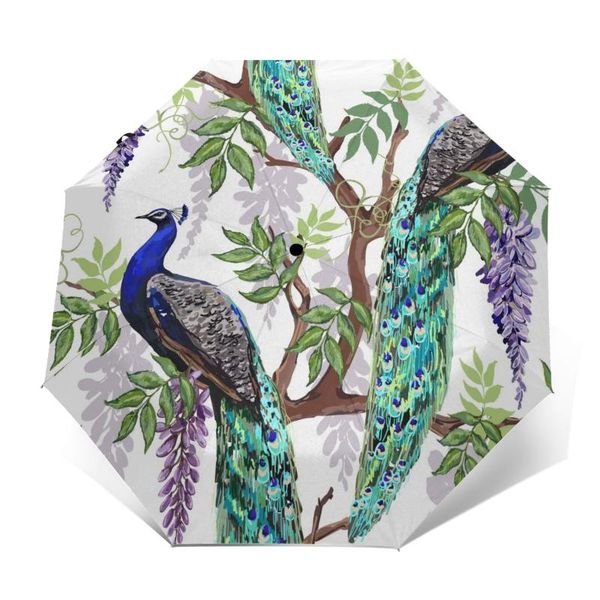 umbrellas wind resistant folding automatic umbrella auto floral summer tropical japanese wisteria and peacocks rain
umbrellas wind resistant folding automatic umbrella auto floral summer tropical japanese wisteria and peacocks rain