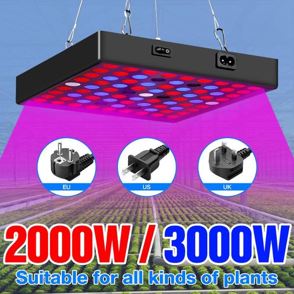 grow lights full spectrum 2000w led plant lamp 220v indoor growing light 3000w fito lamps for phyto vegs flower greenhouse tent box
grow lights full spectrum 2000w led plant lamp 220v indoor growing light 3000w fito lamps for phyto vegs flower greenhouse tent box