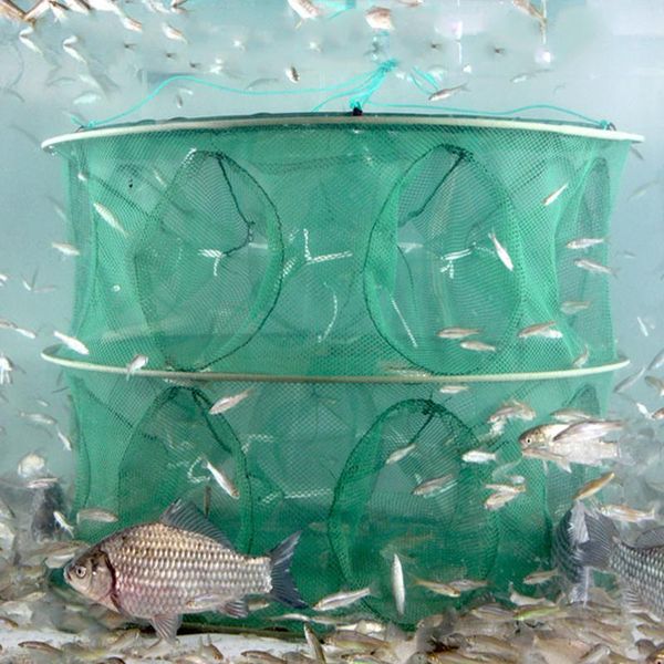 fishing accessories double layer 13/15 holes shrimp automatic trap net minnow crab baits cast mesh crayfish catcher nets tools yg24
fishing accessories double layer 13/15 holes shrimp automatic trap net minnow crab baits cast mesh crayfish catcher nets tools yg24