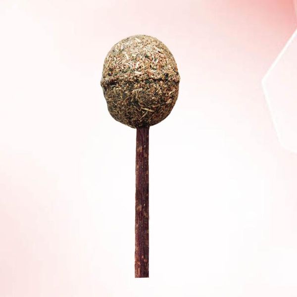 cat toys catnip lollipop with stick kittens cats funny mint molar teeth wood polygonum
cat toys catnip lollipop with stick kittens cats funny mint molar teeth wood polygonum