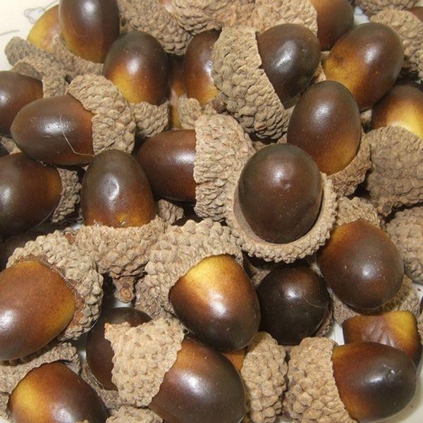 party decoration 50pcs artificial simulation small acorn plant ornament fake fruit autumn
party decoration 50pcs artificial simulation small acorn plant ornament fake fruit autumn