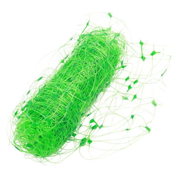 other home decor 1pc trellis netting garden fruit flower climbing net vines (green)
other home decor 1pc trellis netting garden fruit flower climbing net vines (green)