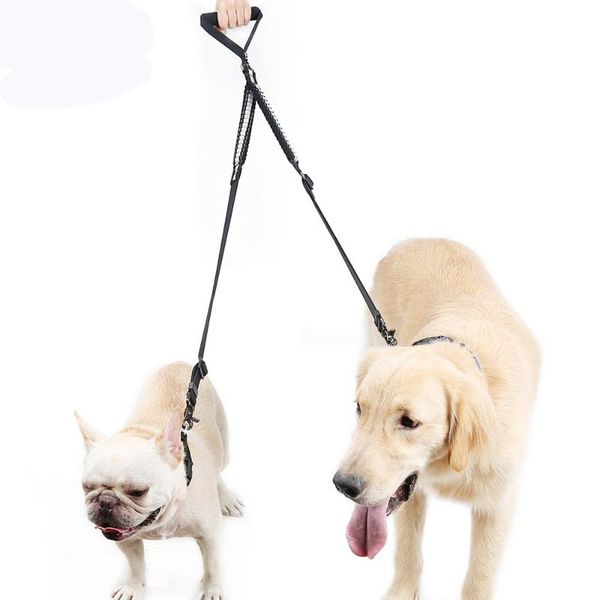 lechong pet dog leash reflective nylon double head elastic hook combo supplies collars & leashes
lechong pet dog leash reflective nylon double head elastic hook combo supplies collars & leashes