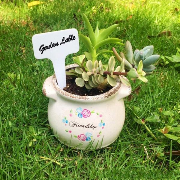 planters & pots nursery plants marker labels name tags t-type gardening planter tool set pvc
planters & pots nursery plants marker labels name tags t-type gardening planter tool set pvc