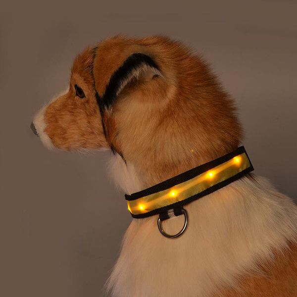 dog collars & leashes nylon collar lamp with luminous teddy golden retriever for dogs harness leash light strip
dog collars & leashes nylon collar lamp with luminous teddy golden retriever for dogs harness leash light strip