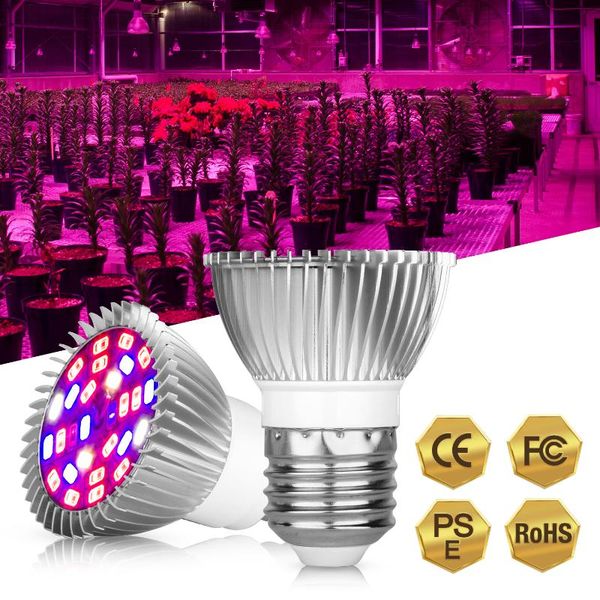 grow lights phyto led e27 hydroponic growth light e14 bulb full spectrum 110v 220v lamp plant flower seedling fitolamp gu10
grow lights phyto led e27 hydroponic growth light e14 bulb full spectrum 110v 220v lamp plant flower seedling fitolamp gu10