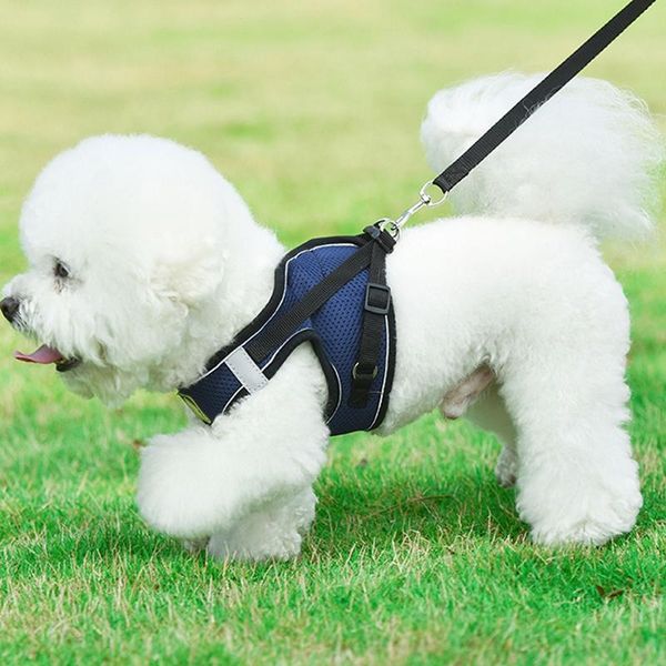pet harness and leash set for small medium nylon mesh puppy cat harnesses vest reflective walking lead collars & leads
pet harness and leash set for small medium nylon mesh puppy cat harnesses vest reflective walking lead collars & leads