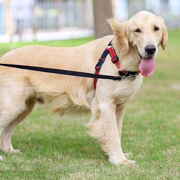 dog collars & leashes luminous big harness collar for large medium small adjustable harnesses vest husky dogs supplies chest back
dog collars & leashes luminous big harness collar for large medium small adjustable harnesses vest husky dogs supplies chest back