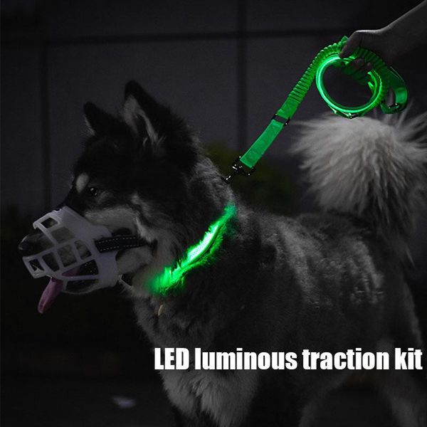 luminous traction rope for dog collar lead walking set elastic chain usb charging dogs pets accessories collars & leashes
luminous traction rope for dog collar lead walking set elastic chain usb charging dogs pets accessories collars & leashes