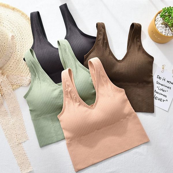 gym bra for women solid underwear fitness yoga running wear workout sportswear sports vest breathable quick dry size clothing, White;black
gym bra for women solid underwear fitness yoga running wear workout sportswear sports vest breathable quick dry size clothing, White;black