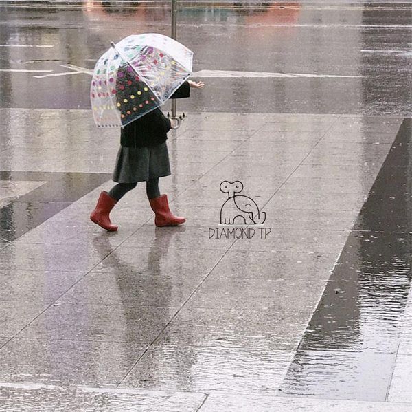 umbrellas 2022 ins children's umbrella windproof and rainproof practical baby transparent color dot
umbrellas 2022 ins children's umbrella windproof and rainproof practical baby transparent color dot