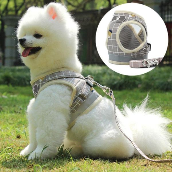 dog collars & leashes breathable cat harness pet adjustable reflective vest walking lead leash puppy polyester mesh for small medium
dog collars & leashes breathable cat harness pet adjustable reflective vest walking lead leash puppy polyester mesh for small medium
