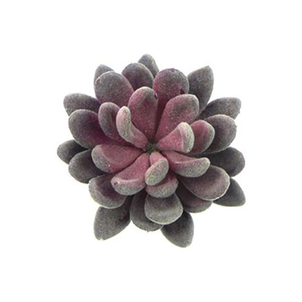 decorative flowers & wreaths home decoration artificial echeveria office garden fake simulation bonsai deskliving room landscape craft f
decorative flowers & wreaths home decoration artificial echeveria office garden fake simulation bonsai deskliving room landscape craft f