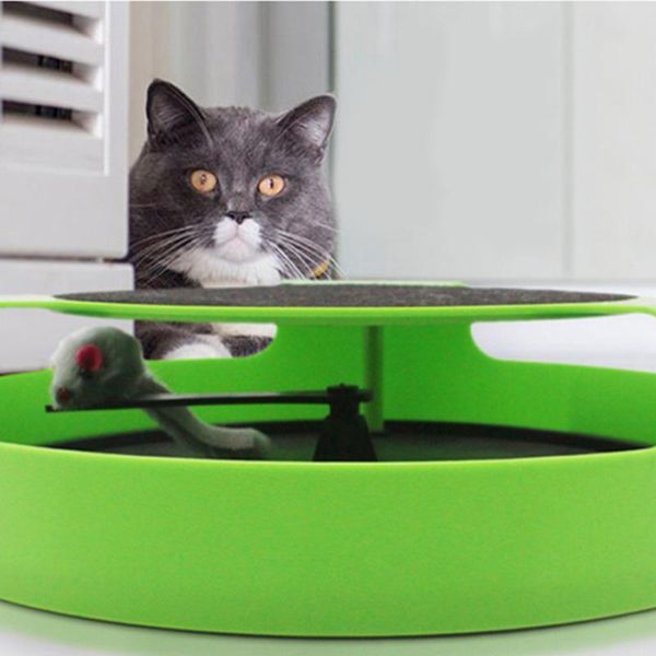 cat toys funny for cats catch motion the mouse mice 360 rotating cute interactive crazy training play board kitten moving scratching
cat toys funny for cats catch motion the mouse mice 360 rotating cute interactive crazy training play board kitten moving scratching