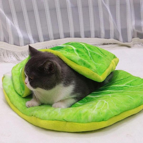 kennels & pens fashion simulation green vegetable round pet kennel warm plush and pp cotton cat dog blanket in winter
kennels & pens fashion simulation green vegetable round pet kennel warm plush and pp cotton cat dog blanket in winter
