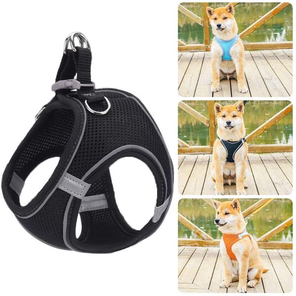 cat collars & leads pet leash kit for and small dog harness, adjustable, soft comfortable mesh suitable kittens puppies
cat collars & leads pet leash kit for and small dog harness, adjustable, soft comfortable mesh suitable kittens puppies