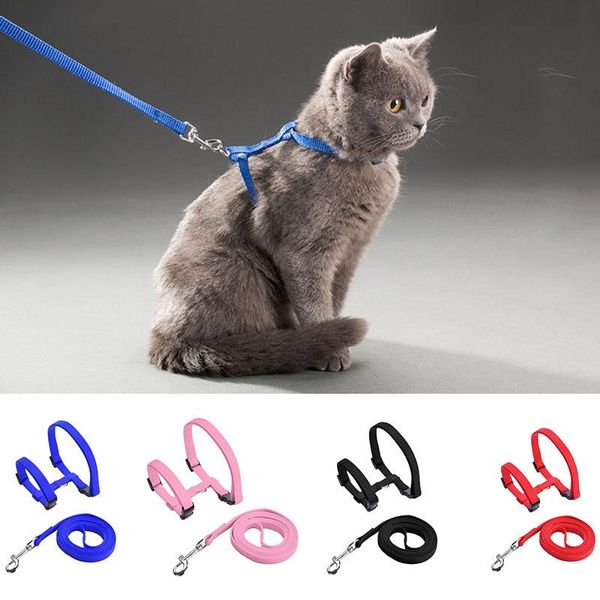 cat collars & leads escape proof harness small pet leash set adjustable nylon rope strap kitty collar for cats dogs
cat collars & leads escape proof harness small pet leash set adjustable nylon rope strap kitty collar for cats dogs