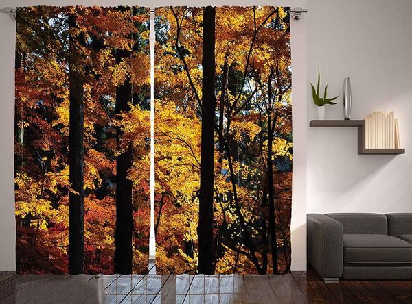 curtain & drapes tree curtains autumnd foliage trees fall season picture in trainquil forest countryside woodland nature window
curtain & drapes tree curtains autumnd foliage trees fall season picture in trainquil forest countryside woodland nature window