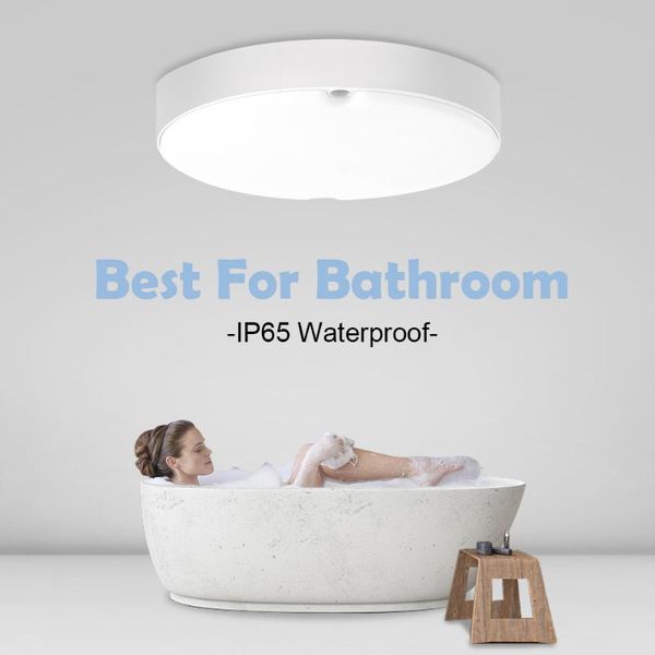 ceiling lights bathroom led waterproof ip65 18w ac165-265v lighting fixtures for bedroom livingroom modern lamps
ceiling lights bathroom led waterproof ip65 18w ac165-265v lighting fixtures for bedroom livingroom modern lamps
