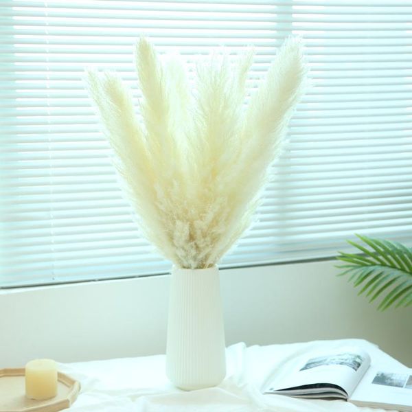 5/10pcs 80cm pampas beige dried flowers wedding bouquet the nordic tea table decoration 2021 decorative & wreaths
5/10pcs 80cm pampas beige dried flowers wedding bouquet the nordic tea table decoration 2021 decorative & wreaths