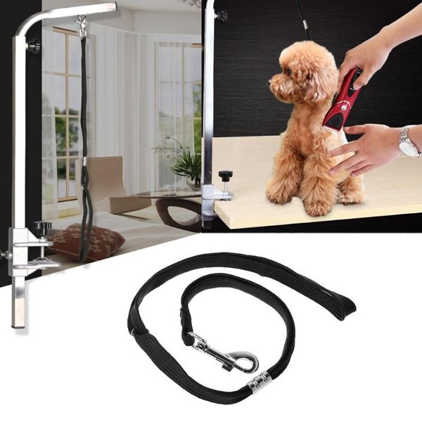 dog pet animal noose loop lock clip rope grooming table arm bath 52cm collars & leashes
dog pet animal noose loop lock clip rope grooming table arm bath 52cm collars & leashes