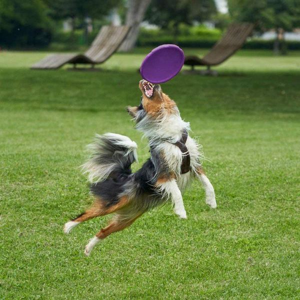 dog apparel 1pcs eva material silicone flying saucer toy game discs resistant chew puppy training interactive pet supplies
dog apparel 1pcs eva material silicone flying saucer toy game discs resistant chew puppy training interactive pet supplies