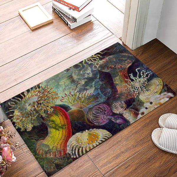 cushion/decorative pillow anemone ocean shabby retro door mats kitchen floor bath entrance rug mat rubber non slip
cushion/decorative pillow anemone ocean shabby retro door mats kitchen floor bath entrance rug mat rubber non slip