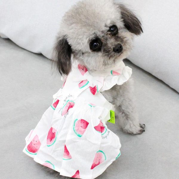 dog apparel pet clothing dress summer cat clothes puppy skirt yorkie yorkshire chihuahua pomeranian small costumes outfit
dog apparel pet clothing dress summer cat clothes puppy skirt yorkie yorkshire chihuahua pomeranian small costumes outfit