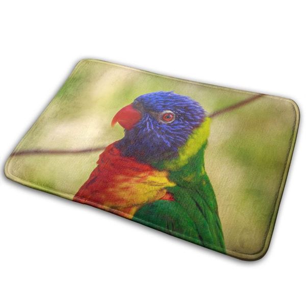 carpets colorful bird flannel doormat welcome carpet anti-slip nordic style bottom door floor room dustproof mats
carpets colorful bird flannel doormat welcome carpet anti-slip nordic style bottom door floor room dustproof mats