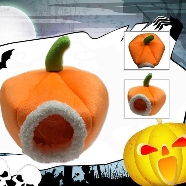squirrel pet bed bird guinea mice hamster ferret pumpkin warm toy house rat hammock pig cat beds & furniture
squirrel pet bed bird guinea mice hamster ferret pumpkin warm toy house rat hammock pig cat beds & furniture