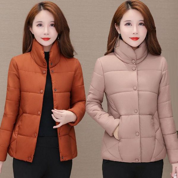 mother's autumn and winter's thin pure color down cotton jacket middle aged women's large short stand collar small & parkas, Black
mother's autumn and winter's thin pure color down cotton jacket middle aged women's large short stand collar small & parkas, Black