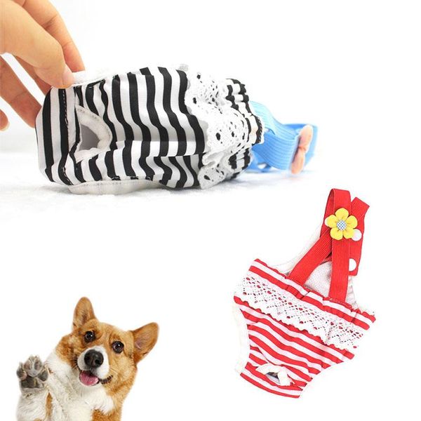 dog apparel 1pc pet cotton striped underwear clothes tighten strap briefs diaper physiological pant small middle girl dogs supplies
dog apparel 1pc pet cotton striped underwear clothes tighten strap briefs diaper physiological pant small middle girl dogs supplies