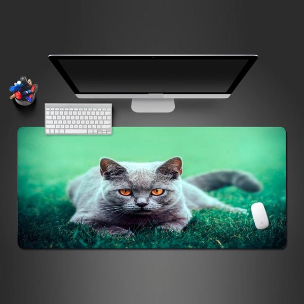mouse pads & wrist rests super cute cat animal pad wholesale customized large natural rubber washing computer accessories game mousepad
mouse pads & wrist rests super cute cat animal pad wholesale customized large natural rubber washing computer accessories game mousepad