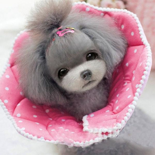 dog collars & leashes cat recovery wound healing protective collar anti-bite comfortable e-collar pet supplies
dog collars & leashes cat recovery wound healing protective collar anti-bite comfortable e-collar pet supplies