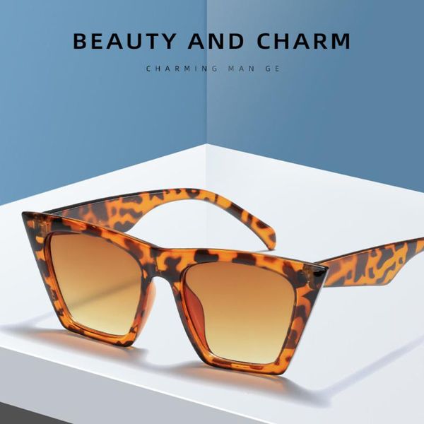 outdoor eyewear vintage square cat eye sunglasses mini retro uv protection for hiking cycling equipment
outdoor eyewear vintage square cat eye sunglasses mini retro uv protection for hiking cycling equipment
