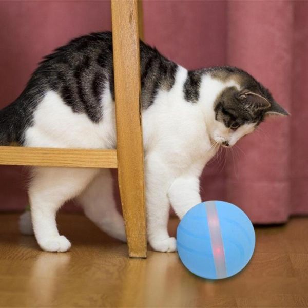 waterproof pet jumping ball usb led flash kitten puppy teasing toy electric dog cat interactive toys
waterproof pet jumping ball usb led flash kitten puppy teasing toy electric dog cat interactive toys