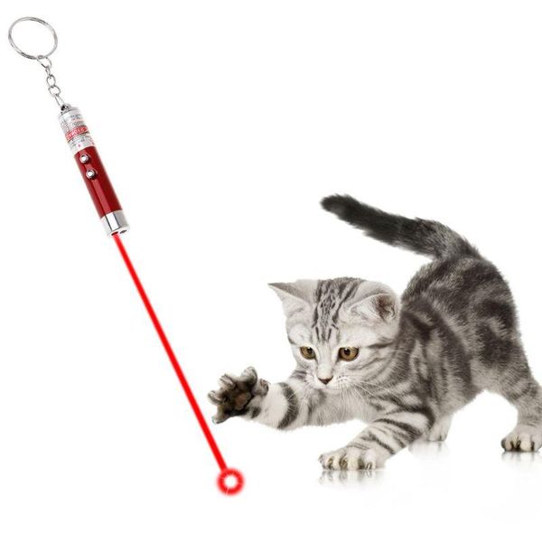 cat toys teaser light multi functional pet led lamp pen pointer 2 in 1 key ring dog pets products keychain portable aluminum all
cat toys teaser light multi functional pet led lamp pen pointer 2 in 1 key ring dog pets products keychain portable aluminum all