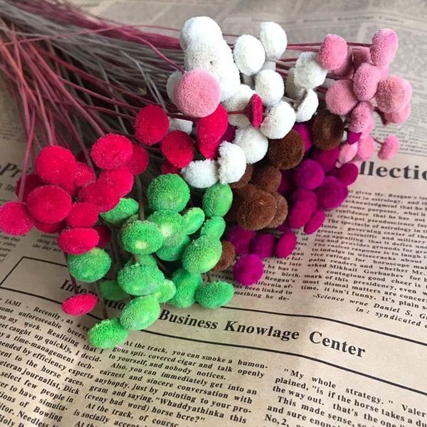 60pcs/1-1.5cm head real natural dried plant flowers,dry mini colorful button flower branch for home decor,wedding decoration1
60pcs/1-1.5cm head real natural dried plant flowers,dry mini colorful button flower branch for home decor,wedding decoration1