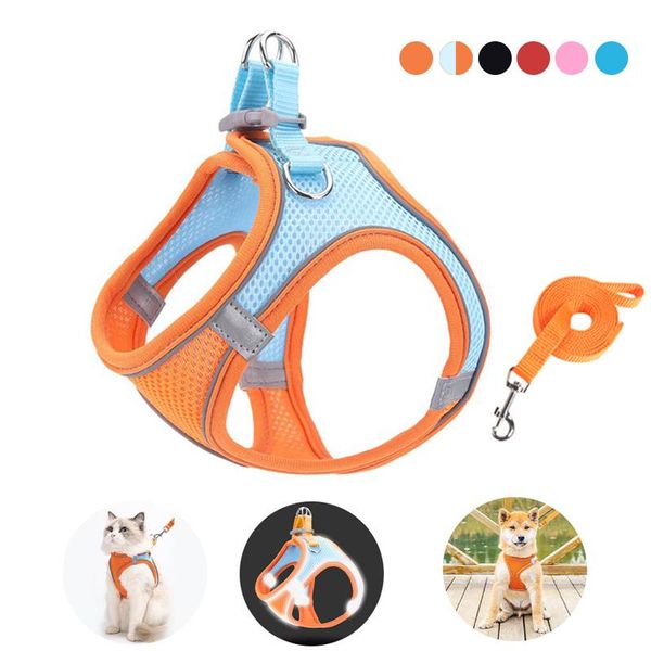 dog collars & leashes reflective harness leash set breathable mesh cat outdoor walking adjustable pet harnesses vest for puppy medium dogs
dog collars & leashes reflective harness leash set breathable mesh cat outdoor walking adjustable pet harnesses vest for puppy medium dogs