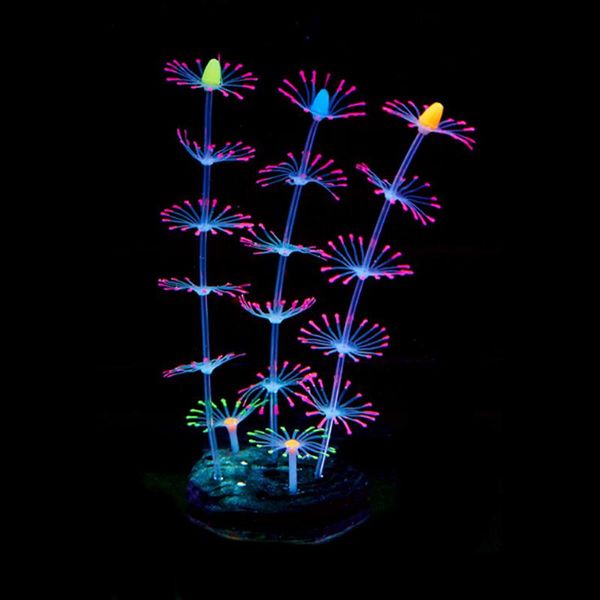 decorations fish tank aquarium decoration luminous feather coral silicone accessories household items
decorations fish tank aquarium decoration luminous feather coral silicone accessories household items