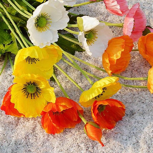 decorative flowers & wreaths mini dried babys breath bouquet natural plants preserve floral for wedding home decoration poppy
decorative flowers & wreaths mini dried babys breath bouquet natural plants preserve floral for wedding home decoration poppy