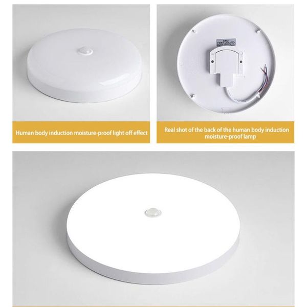 ceiling lights human body induction light bathroom corridor balcony waterproof and insect proof led
ceiling lights human body induction light bathroom corridor balcony waterproof and insect proof led