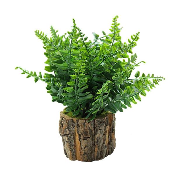 decorative flowers & wreaths simulation green plants table potted ornaments fake bark artificial creativity plastic home garden office decor
decorative flowers & wreaths simulation green plants table potted ornaments fake bark artificial creativity plastic home garden office decor