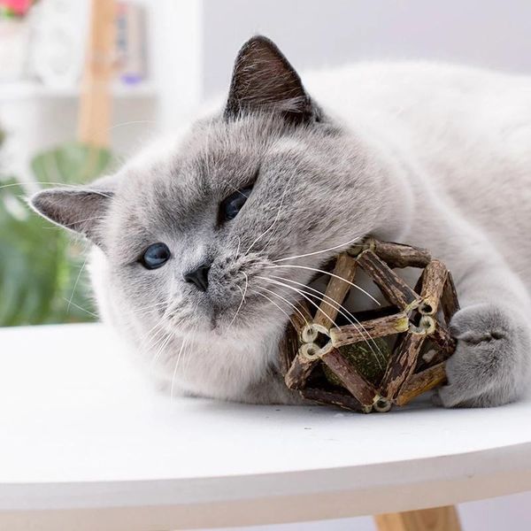 catnip toy funny beneficial pet toys interactive cat nip ball safety healthy products clean teeth
catnip toy funny beneficial pet toys interactive cat nip ball safety healthy products clean teeth