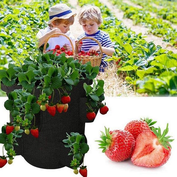 planters & pots open style vertical vegetable planting yard felt wall hanging growing outdoor garden potato strawberry 3/6/8 mouths planter
planters & pots open style vertical vegetable planting yard felt wall hanging growing outdoor garden potato strawberry 3/6/8 mouths planter
