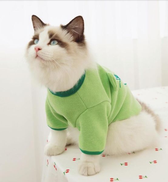 cat costumes clothing winter warm turtleneck knitted puppy clothes costume for small dogs cats chihuahua outfit vest
cat costumes clothing winter warm turtleneck knitted puppy clothes costume for small dogs cats chihuahua outfit vest