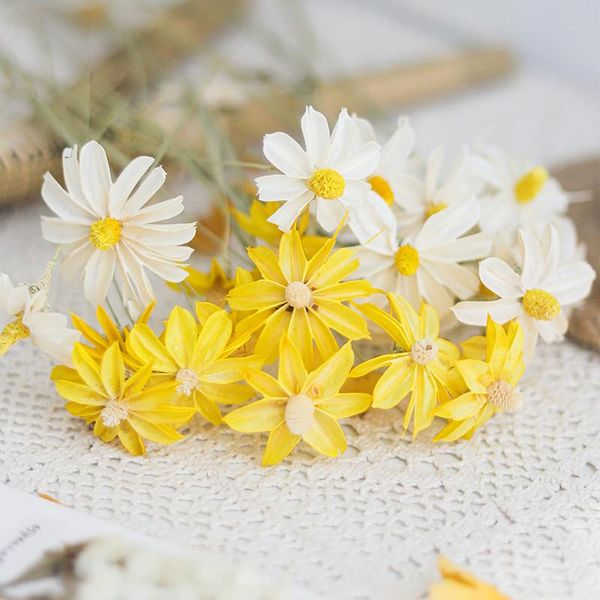 real natural oncidium daisy dried flowers home decor wedding decoration ornaments everlasting preserved ins style shooting props decorative
real natural oncidium daisy dried flowers home decor wedding decoration ornaments everlasting preserved ins style shooting props decorative
