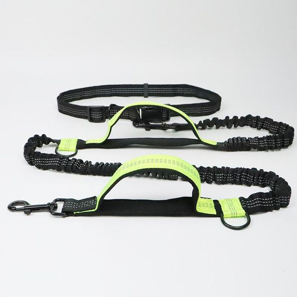 dog collars & leashes pet leash portable reflective hands running outdoor elastic belt traction rope
dog collars & leashes pet leash portable reflective hands running outdoor elastic belt traction rope